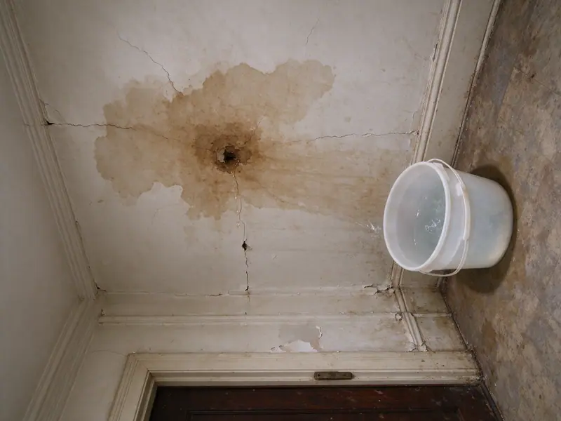 Brown water stain spreading across a cracked plaster ceiling beneath an upstairs bathroom in a prewar Brooklyn house, a white plastic bucket on the floor below catching drips